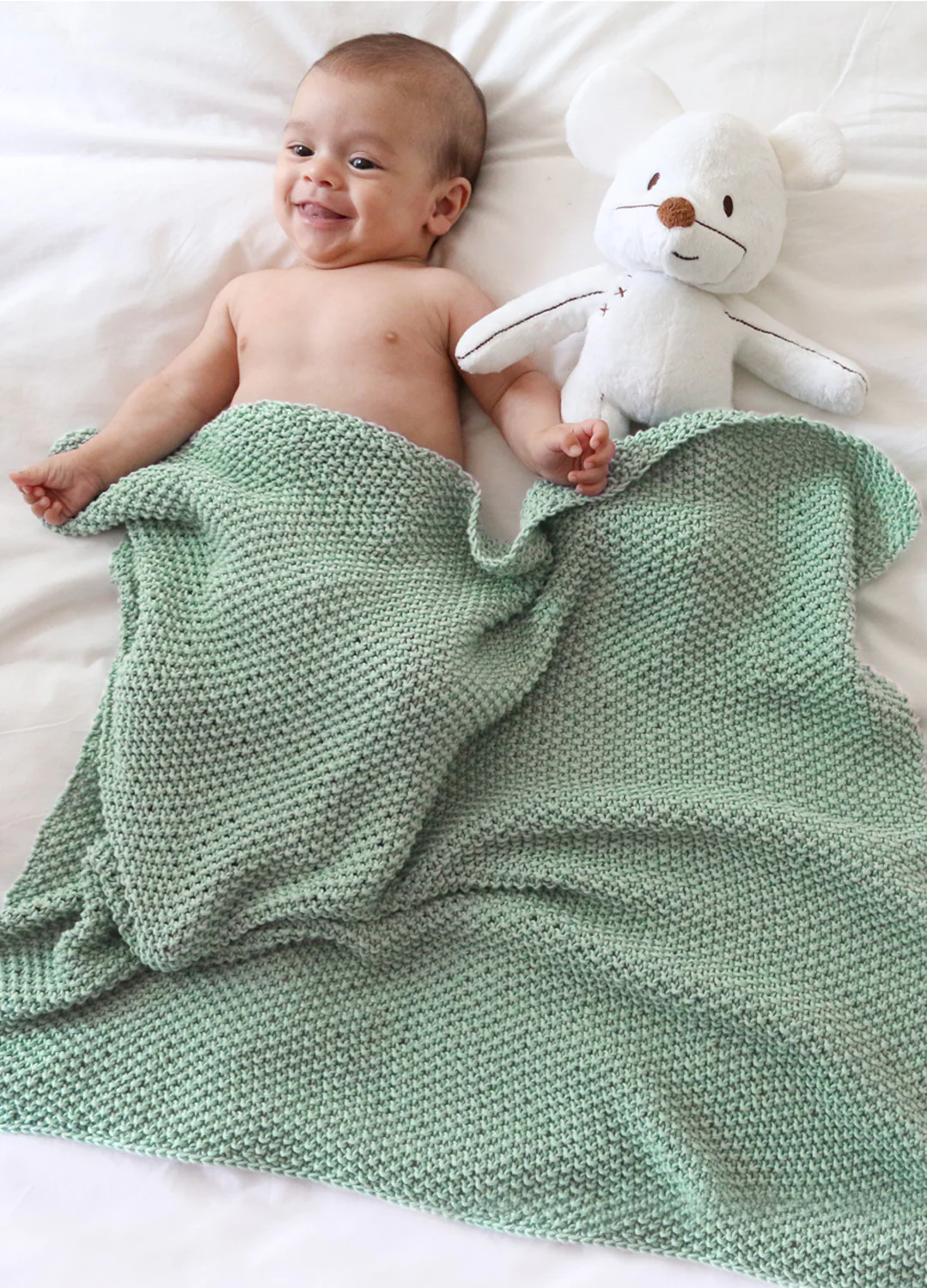 Dragonfly Blanket Kit - Image 4
